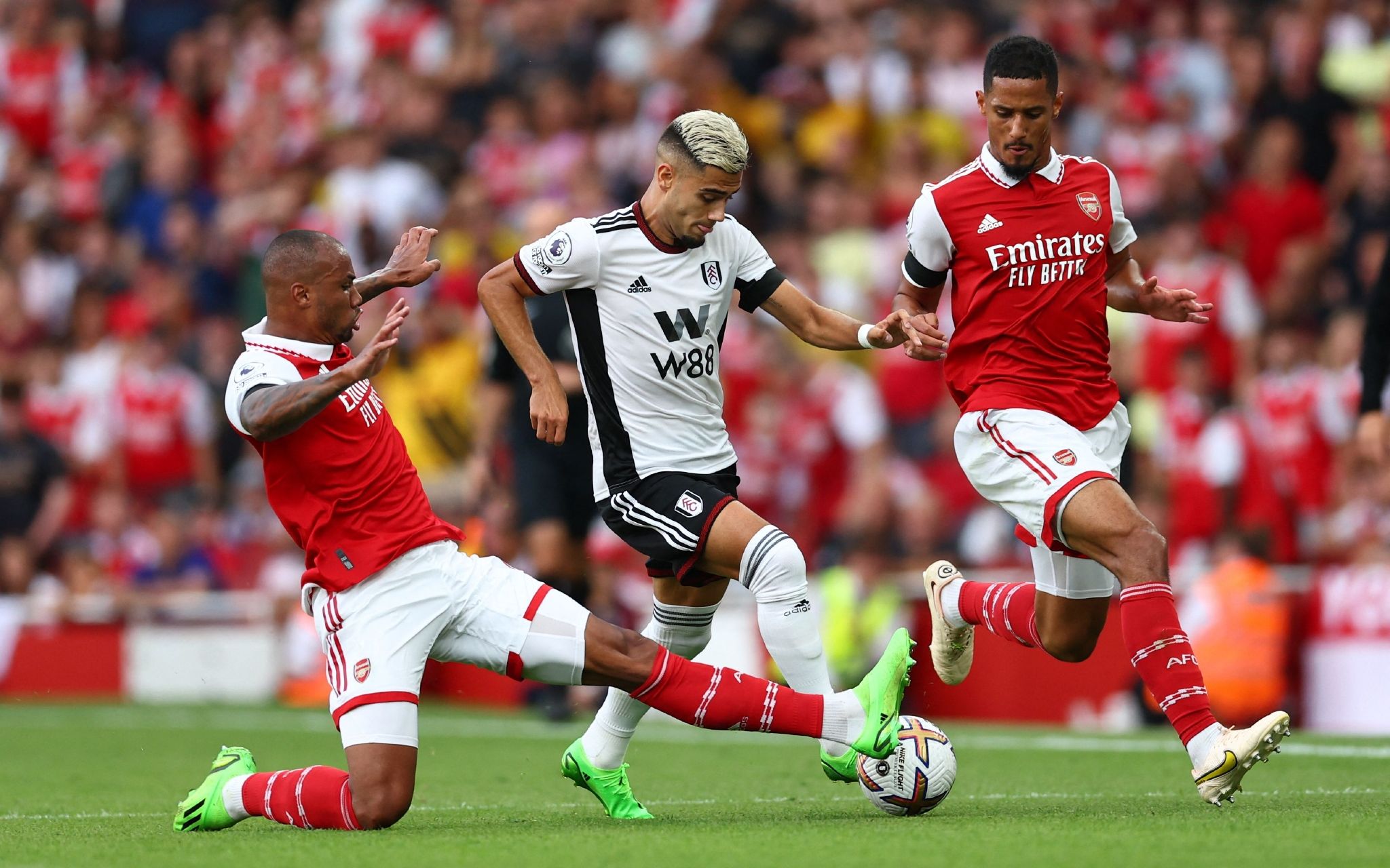 你要我帮你 你要我帮你